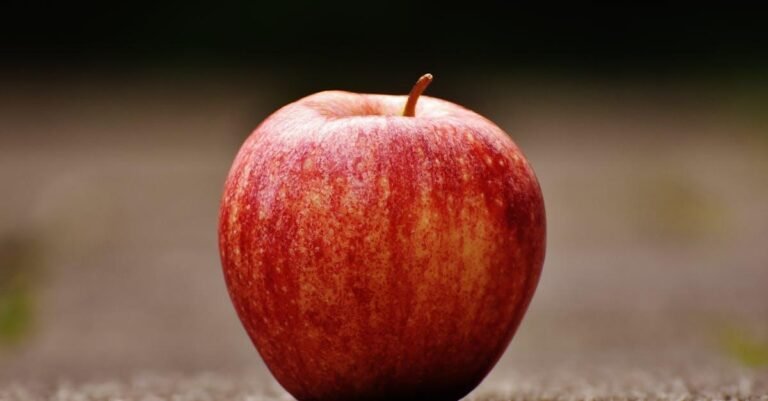 A vibrant red apple resting on a textured outdoor surface, showcasing natural beauty and freshness.