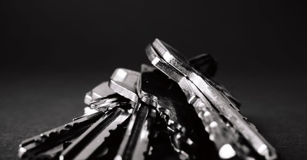 A close-up shot of a pile of metallic keys on a dark surface, emphasizing security and precision.
